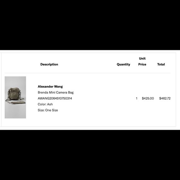 Alexander Wang Brenda Mini Camera Bag in color Ash - Picture 7 of 8